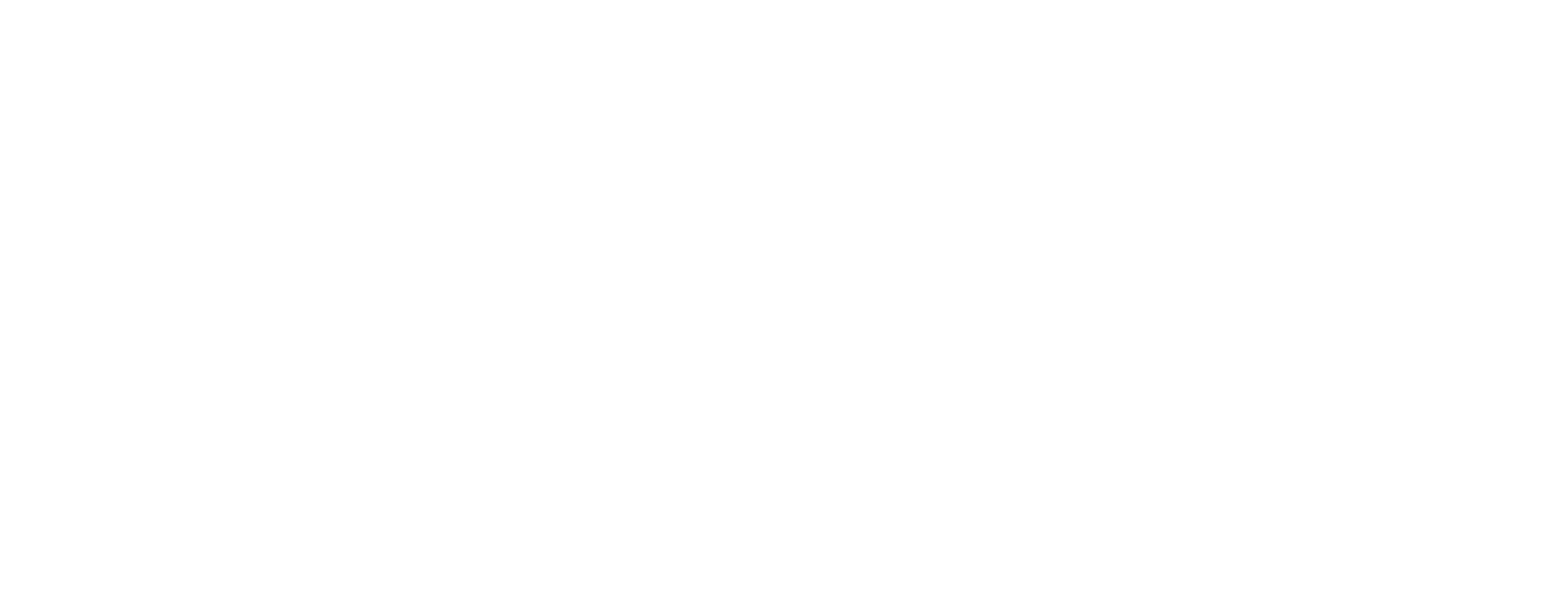 JCNetwork-Logo, weiße Variante