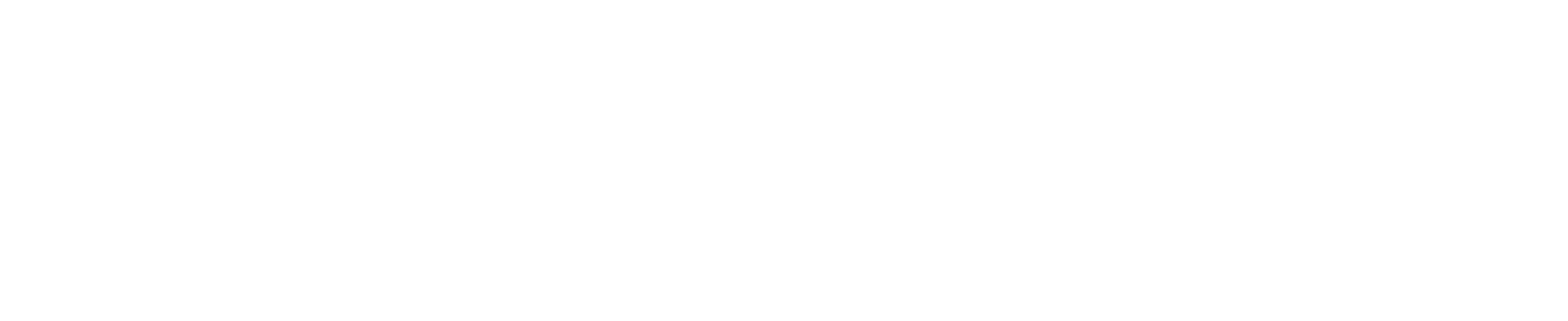 Certified Junior Consultant, weiße Variante