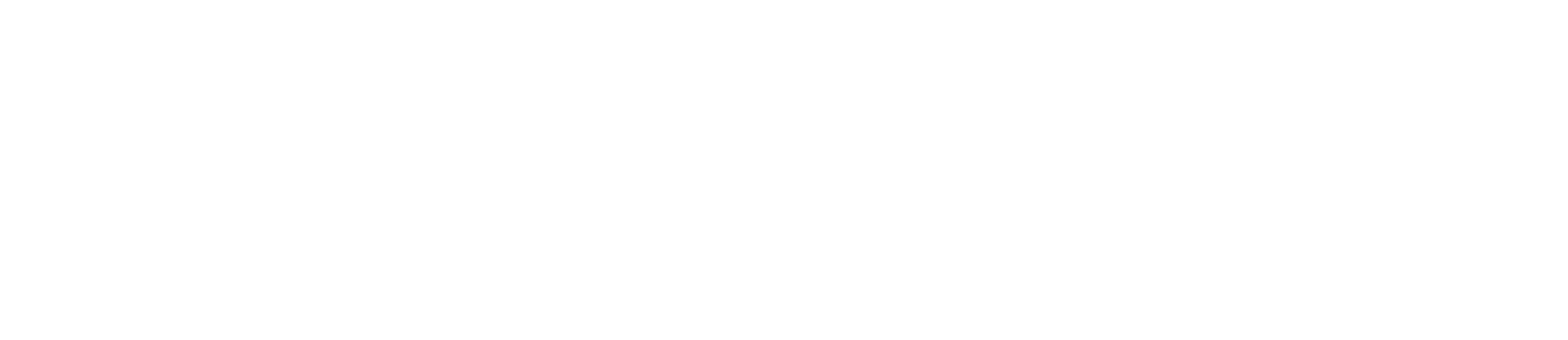 Leadership Development, weiße Variante