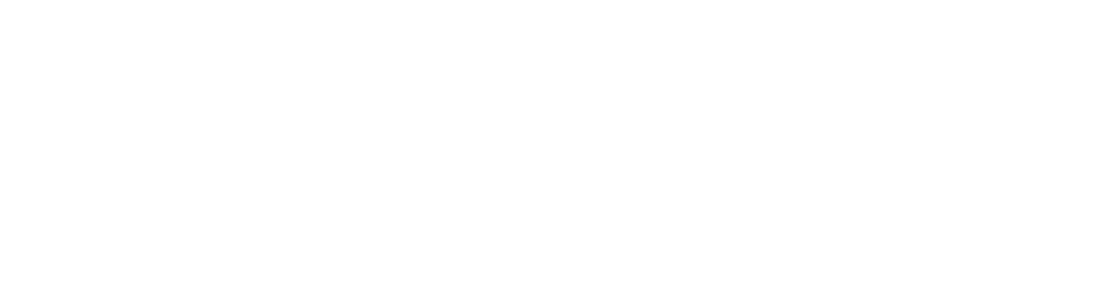 Trainer Academy, weiße Variante